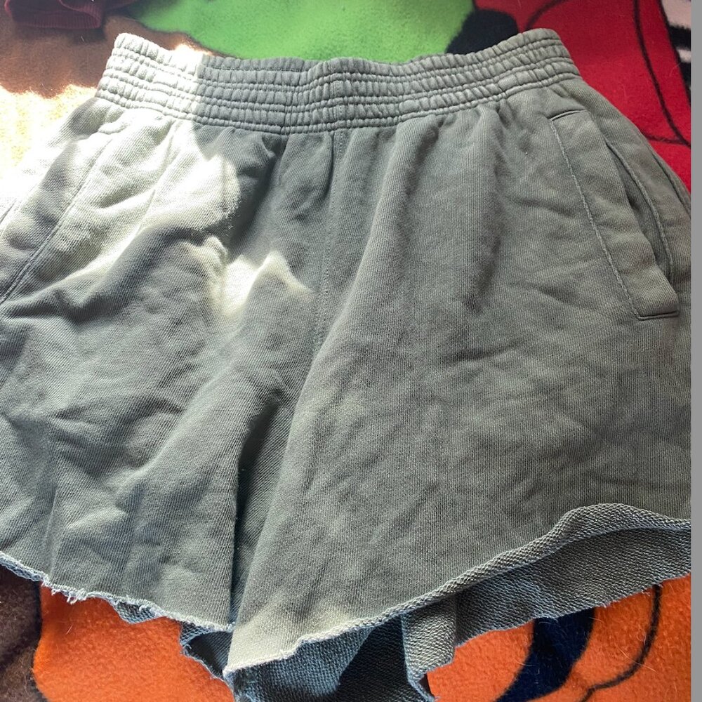 Aerie shorts